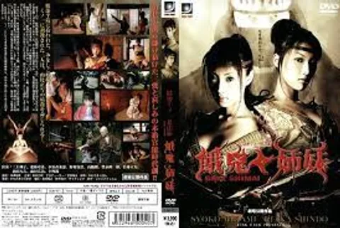 《阴密之女忍者秘录：饿鬼姐妹》