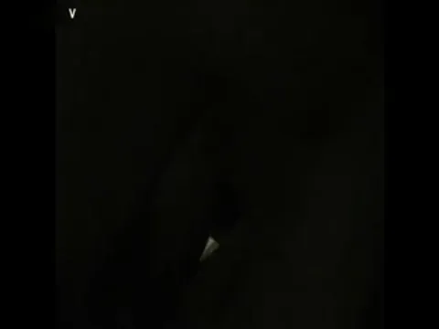 最新爆出超美银行女职员