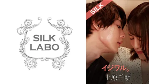 220SILKS-105 调皮捣蛋。