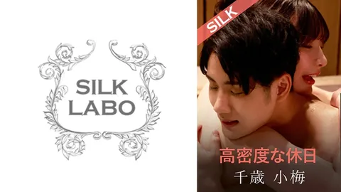 220SILKS-107 高密度的假期