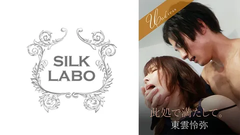 220SILKU-102 请在此处填写。