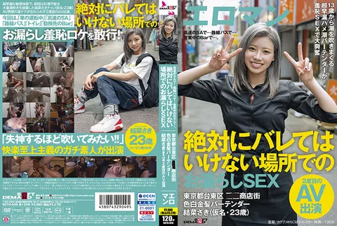 SDTH-028 在高速公路的紧急停车带……在公交车上……在营业中的酒吧里……在绝对不能被发现的地方的失禁性爱 东