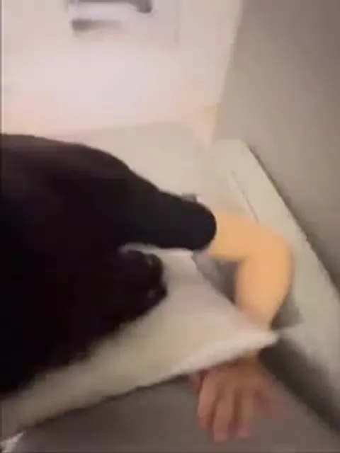 约泡 偷情