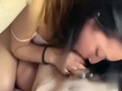 舍友的女朋友太懂男人了口交时的眼神太诱人