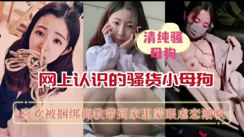 网上认识的骚货小母狗喜欢被捆绑调教带到家里蒙眼虐恋潮吹