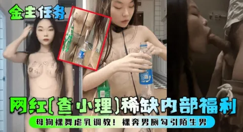【金主任务】网红查小理内部福利 裸舞虐乳调教裸奔男厕勾引陌生男
