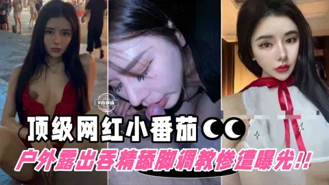 网红黑料-顶级稀缺颜值女神‘小番茄’沦为金主性奴 户外露出舔脚调教惨遭泄密-