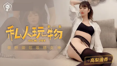 果冻传媒-私人玩物1-高梨遥香-精品力荐