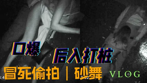 口爆后入打桩