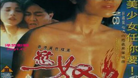 香港黄色档案之欲奴【粤语中字】