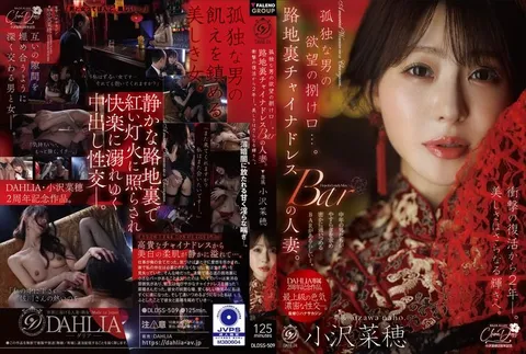 DLDSS-509 孤独男人的欲望宣泄口……后巷旗袍酒吧的人妻。自震撼复出以来已过去2年——。美貌愈发耀眼。 小泽菜穗